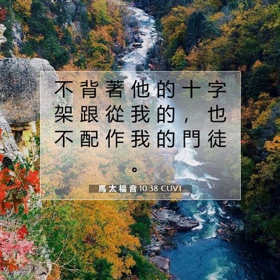 Picture 07 - 馬 太 福 音 10:38 CUVT - 不 背 著 他 的 十 字 架 跟 從 我 的 - Bible Verse Picture