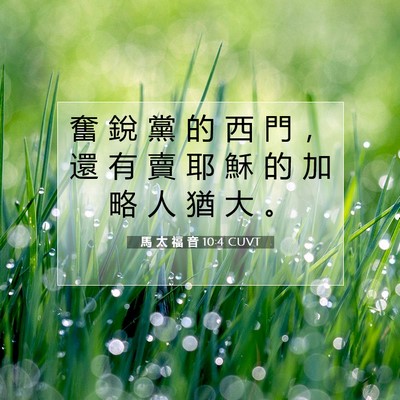 Picture 07 - 馬 太 福 音 10:4 CUVT - 奮 銳 黨 的 西 門 ， 還 有 賣 耶 穌 - Bible Verse Picture