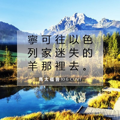 Picture 07 - 馬 太 福 音 10:6 CUVT - 寧 可 往 以 色 列 家 迷 失 的 羊 那 - Bible Verse Picture