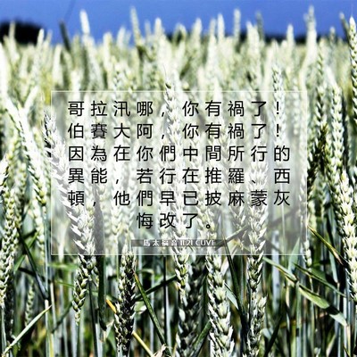 Picture 07 - 馬 太 福 音 11:21 CUVT - 哥 拉 汛 哪 ， 你 有 禍 了 ！ 伯 賽 - Bible Verse Picture