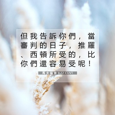 Picture 07 - 馬 太 福 音 11:22 CUVT - 但 我 告 訴 你 們 ， 當 審 判 的 日 - Bible Verse Picture