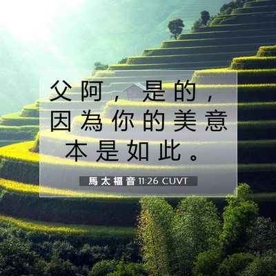 Picture 07 - 馬 太 福 音 11:26 CUVT - 父 阿 ， 是 的 ， 因 為 你 的 美 意 - Bible Verse Picture