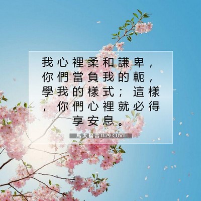 Picture 07 - 馬 太 福 音 11:29 CUVT - 我 心 裡 柔 和 謙 卑 ， 你 們 當 負 - Bible Verse Picture