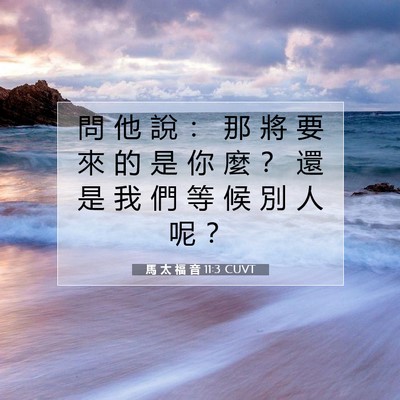 Picture 07 - 馬 太 福 音 11:3 CUVT - 問 他 說 ： 那 將 要 來 的 是 你 麼 - Bible Verse Picture