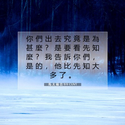 Picture 07 - 馬 太 福 音 11:9 CUVT - 你 們 出 去 究 竟 是 為 甚 麼 ？ 是 - Bible Verse Picture