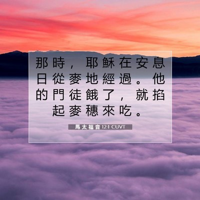 Picture 07 - 馬 太 福 音 12:1 CUVT - 那 時 ， 耶 穌 在 安 息 日 從 麥 地 - Bible Verse Picture