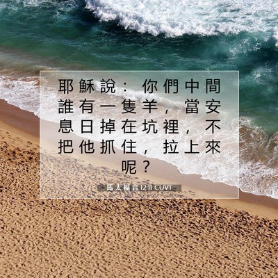 Picture 07 - 馬 太 福 音 12:11 CUVT - 耶 穌 說 ： 你 們 中 間 誰 有 一 隻 - Bible Verse Picture