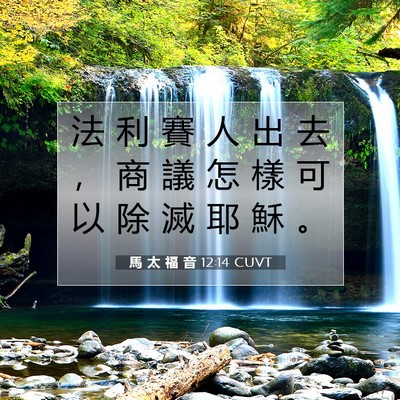 Picture 07 - 馬 太 福 音 12:14 CUVT - 法 利 賽 人 出 去 ， 商 議 怎 樣 可 - Bible Verse Picture