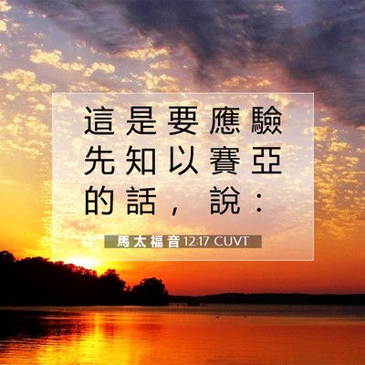 Picture 07 - 馬 太 福 音 12:17 CUVT - 這 是 要 應 驗 先 知 以 賽 亞 的 話 - Bible Verse Picture