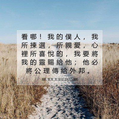 Picture 07 - 馬 太 福 音 12:18 CUVT - 看 哪 ！ 我 的 僕 人 ， 我 所 揀 選 - Bible Verse Picture