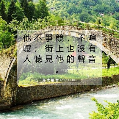 Picture 07 - 馬 太 福 音 12:19 CUVT - 他 不 爭 競 ， 不 喧 嚷 ； 街 上 也 - Bible Verse Picture