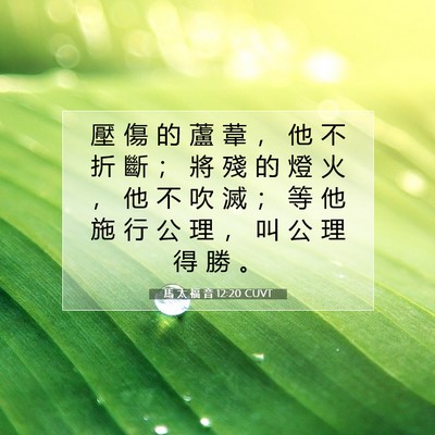 Picture 07 - 馬 太 福 音 12:20 CUVT - 壓 傷 的 蘆 葦 ， 他 不 折 斷 ； 將 - Bible Verse Picture