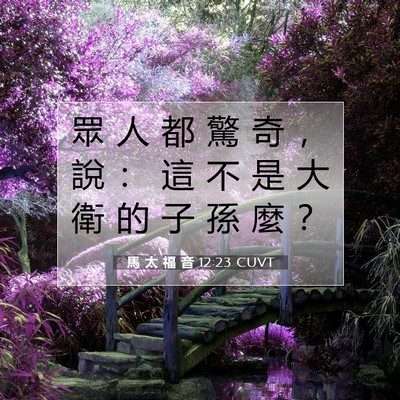 Picture 07 - 馬 太 福 音 12:23 CUVT - 眾 人 都 驚 奇 ， 說 ： 這 不 是 大 - Bible Verse Picture