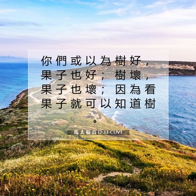 Picture 07 - 馬 太 福 音 12:33 CUVT - 你 們 或 以 為 樹 好 ， 果 子 也 好 - Bible Verse Picture