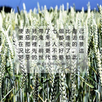Picture 07 - 馬 太 福 音 12:45 CUVT - 便 去 另 帶 了 七 個 比 自 己 更 惡 - Bible Verse Picture