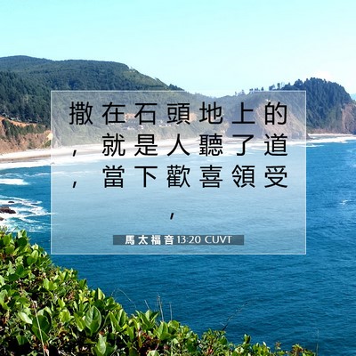 Picture 07 - 馬 太 福 音 13:20 CUVT - 撒 在 石 頭 地 上 的 ， 就 是 人 聽 - Bible Verse Picture