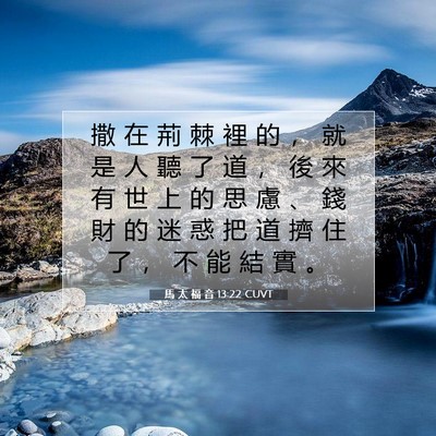 Picture 07 - 馬 太 福 音 13:22 CUVT - 撒 在 荊 棘 裡 的 ， 就 是 人 聽 了 - Bible Verse Picture
