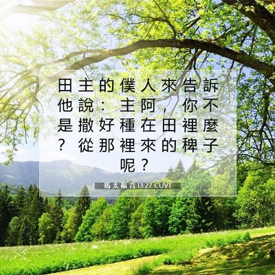 Picture 07 - 馬 太 福 音 13:27 CUVT - 田 主 的 僕 人 來 告 訴 他 說 ： 主 - Bible Verse Picture
