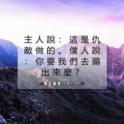 Picture 07 - 馬 太 福 音 13:28 CUVT - 主 人 說 ： 這 是 仇 敵 做 的 。 僕 - Bible Verse Picture