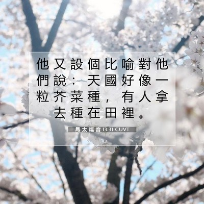 Picture 07 - 馬 太 福 音 13:31 CUVT - 他 又 設 個 比 喻 對 他 們 說 ： 天 - Bible Verse Picture