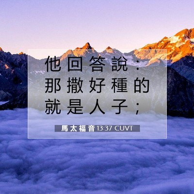 Picture 07 - 馬 太 福 音 13:37 CUVT - 他 回 答 說 ： 那 撒 好 種 的 就 是 - Bible Verse Picture