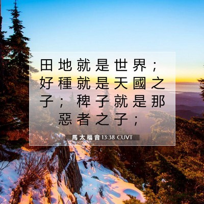 Picture 07 - 馬 太 福 音 13:38 CUVT - 田 地 就 是 世 界 ； 好 種 就 是 天 - Bible Verse Picture