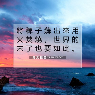 Picture 07 - 馬 太 福 音 13:40 CUVT - 將 稗 子 薅 出 來 用 火 焚 燒 ， 世 - Bible Verse Picture