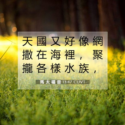 Picture 07 - 馬 太 福 音 13:47 CUVT - 天 國 又 好 像 網 撒 在 海 裡 ， 聚 - Bible Verse Picture