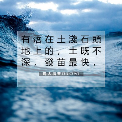 Picture 07 - 馬 太 福 音 13:5 CUVT - 有 落 在 土 淺 石 頭 地 上 的 ， 土 - Bible Verse Picture