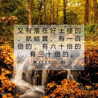 Picture 07 - 馬 太 福 音 13:8 CUVT - 又 有 落 在 好 土 裡 的 ， 就 結 實 - Bible Verse Picture