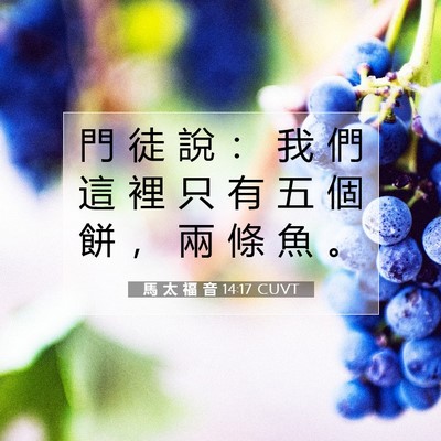 Picture 07 - 馬 太 福 音 14:17 CUVT - 門 徒 說 ： 我 們 這 裡 只 有 五 個 - Bible Verse Picture