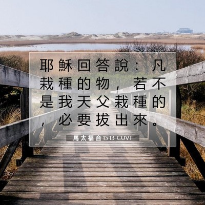Picture 07 - 馬 太 福 音 15:13 CUVT - 耶 穌 回 答 說 ： 凡 栽 種 的 物 ， - Bible Verse Picture
