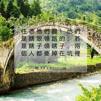 Picture 07 - 馬 太 福 音 15:14 CUVT - 任 憑 他 們 罷 ！ 他 們 是 瞎 眼 領 - Bible Verse Picture