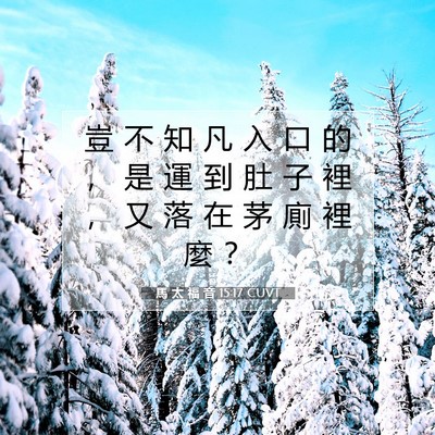 Picture 07 - 馬 太 福 音 15:17 CUVT - 豈 不 知 凡 入 口 的 ， 是 運 到 肚 - Bible Verse Picture