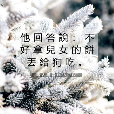 Picture 07 - 馬 太 福 音 15:26 CUVT - 他 回 答 說 ： 不 好 拿 兒 女 的 餅 - Bible Verse Picture