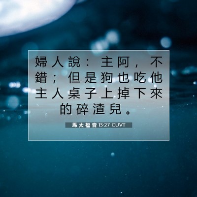 Picture 07 - 馬 太 福 音 15:27 CUVT - 婦 人 說 ： 主 阿 ， 不 錯 ； 但 是 - Bible Verse Picture