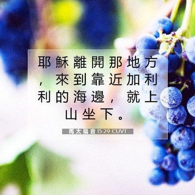 Picture 07 - 馬 太 福 音 15:29 CUVT - 耶 穌 離 開 那 地 方 ， 來 到 靠 近 - Bible Verse Picture