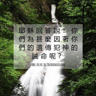 Picture 07 - 馬 太 福 音 15:3 CUVT - 耶 穌 回 答 說 ： 你 們 為 甚 麼 因 - Bible Verse Picture