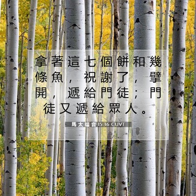 Picture 07 - 馬 太 福 音 15:36 CUVT - 拿 著 這 七 個 餅 和 幾 條 魚 ， 祝 - Bible Verse Picture