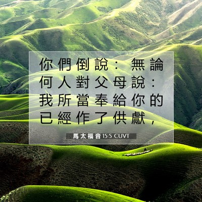 Picture 07 - 馬 太 福 音 15:5 CUVT - 你 們 倒 說 ： 無 論 何 人 對 父 母 - Bible Verse Picture
