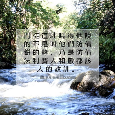 Picture 07 - 馬 太 福 音 16:12 CUVT - 門 徒 這 才 曉 得 他 說 的 不 是 叫 - Bible Verse Picture