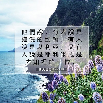 Picture 07 - 馬 太 福 音 16:14 CUVT - 他 們 說 ： 有 人 說 是 施 洗 的 約 - Bible Verse Picture