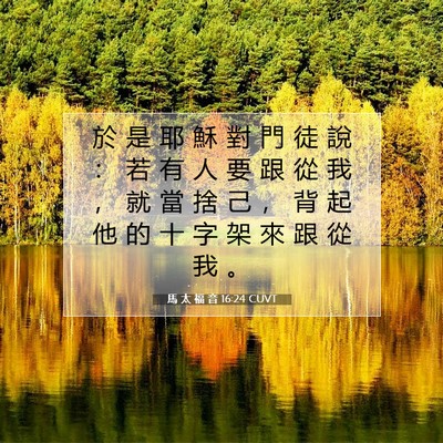 Picture 07 - 馬 太 福 音 16:24 CUVT - 於 是 耶 穌 對 門 徒 說 ： 若 有 人 - Bible Verse Picture