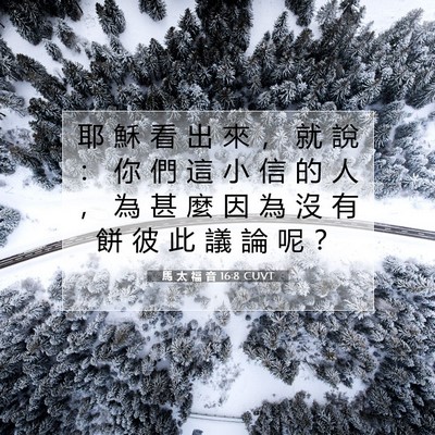 Picture 07 - 馬 太 福 音 16:8 CUVT - 耶 穌 看 出 來 ， 就 說 ： 你 們 這 - Bible Verse Picture