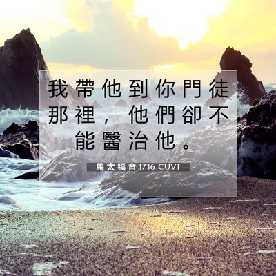 Picture 07 - 馬 太 福 音 17:16 CUVT - 我 帶 他 到 你 門 徒 那 裡 ， 他 們 - Bible Verse Picture