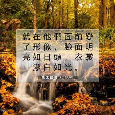 Picture 07 - 馬 太 福 音 17:2 CUVT - 就 在 他 們 面 前 變 了 形 像 ， 臉 - Bible Verse Picture