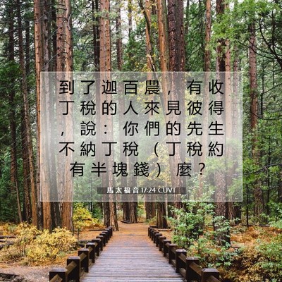 Picture 07 - 馬 太 福 音 17:24 CUVT - 到 了 迦 百 農 ， 有 收 丁 稅 的 人 - Bible Verse Picture