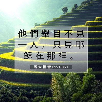Picture 07 - 馬 太 福 音 17:8 CUVT - 他 們 舉 目 不 見 一 人 ， 只 見 耶 - Bible Verse Picture