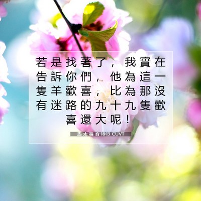 Picture 07 - 馬 太 福 音 18:13 CUVT - 若 是 找 著 了 ， 我 實 在 告 訴 你 - Bible Verse Picture