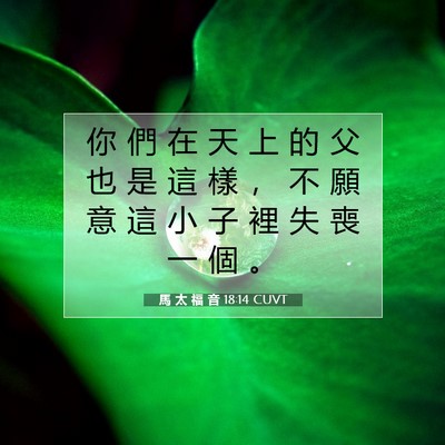 Picture 07 - 馬 太 福 音 18:14 CUVT - 你 們 在 天 上 的 父 也 是 這 樣 ， - Bible Verse Picture